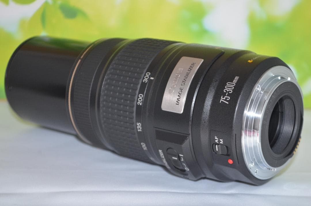 美品 Canon EF 75-300mm IS USM☆望遠レンズ☆フィルター付