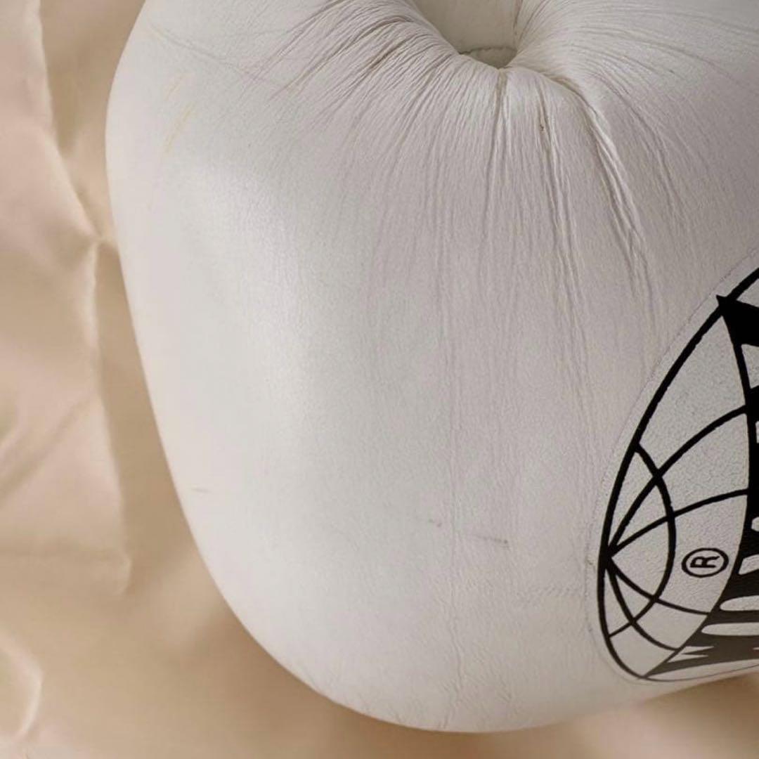 WGNDY ボクシンググローブ 16オンス