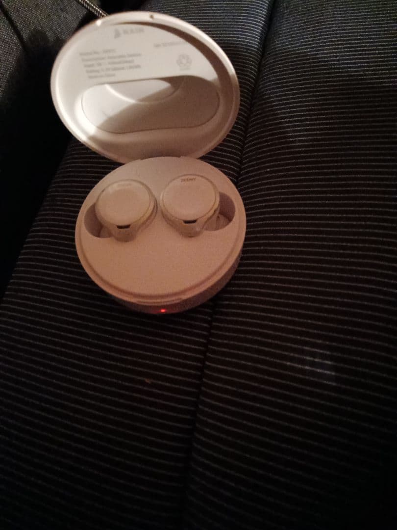 上田麗奈　直筆サイン　zeeny ANC ワイヤレスイヤホン　イヤフォン