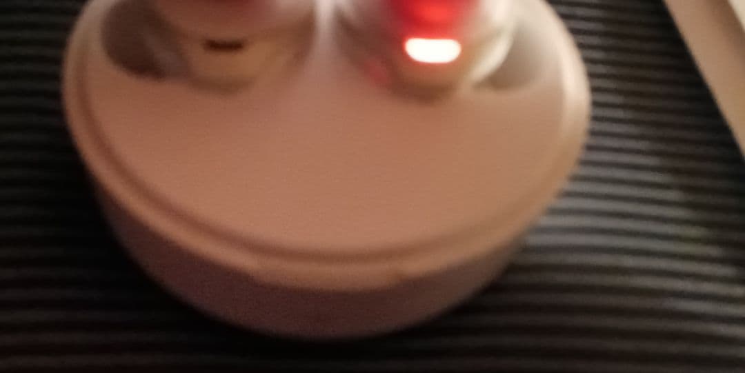 上田麗奈　直筆サイン　zeeny ANC ワイヤレスイヤホン　イヤフォン