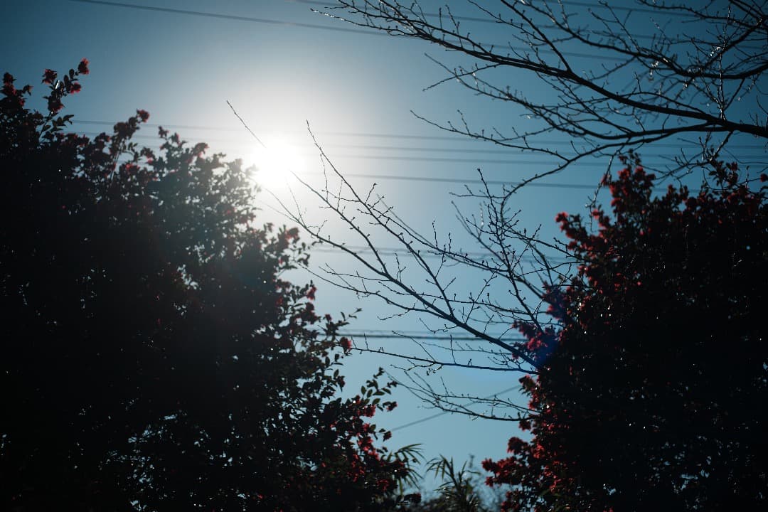 希少 Nikon AF Micor-Nikkor 55mm F2.8