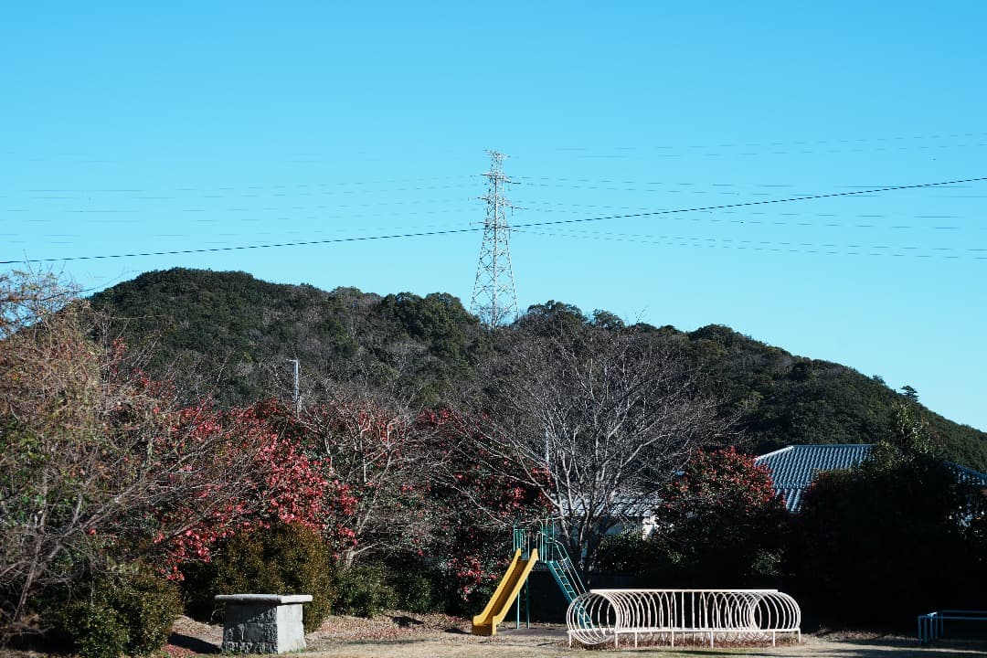 希少 Nikon AF Micor-Nikkor 55mm F2.8