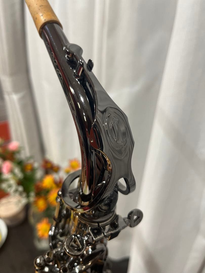 【ぶー太郎】Cannonball A5-B Big Bellアルトサックス