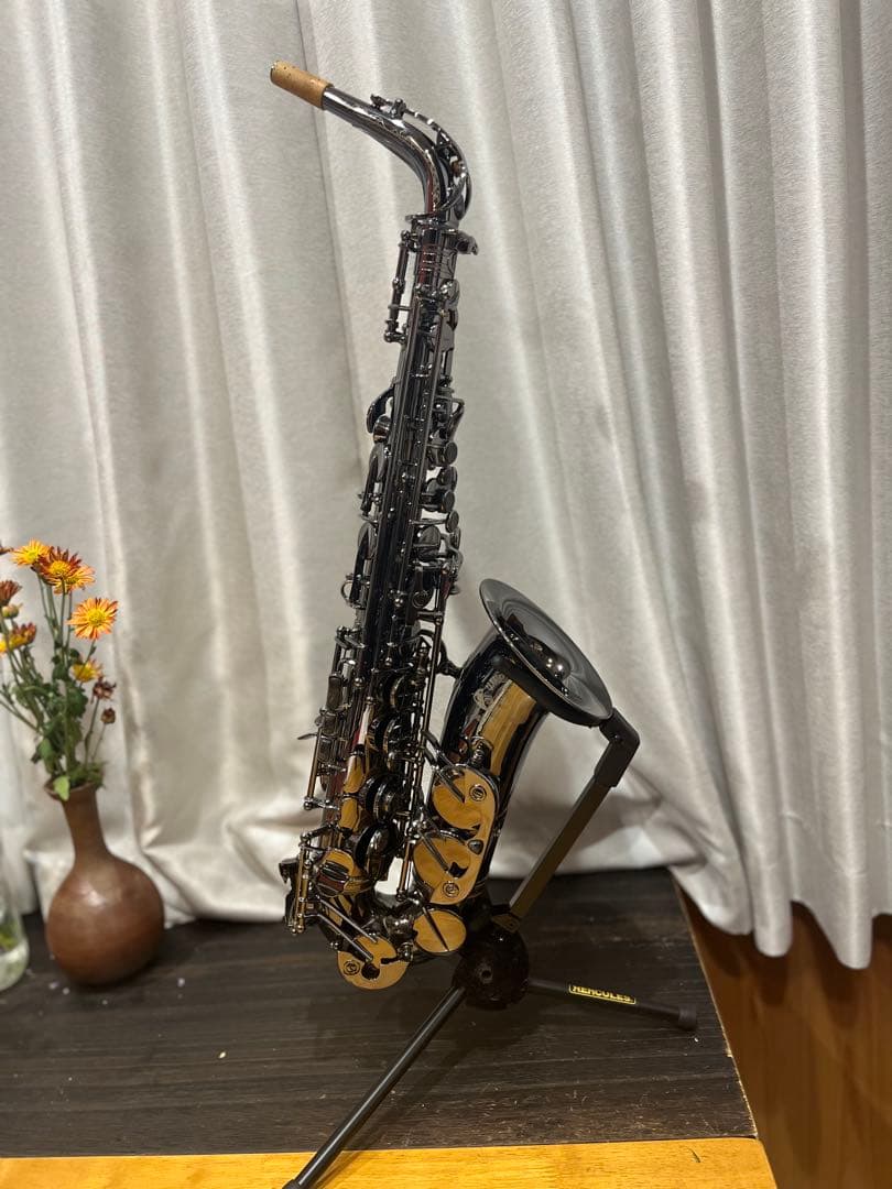 【ぶー太郎】Cannonball A5-B Big Bellアルトサックス