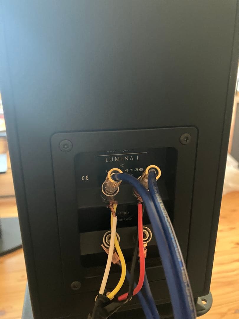 Sal　sonus faber LUMINA 1