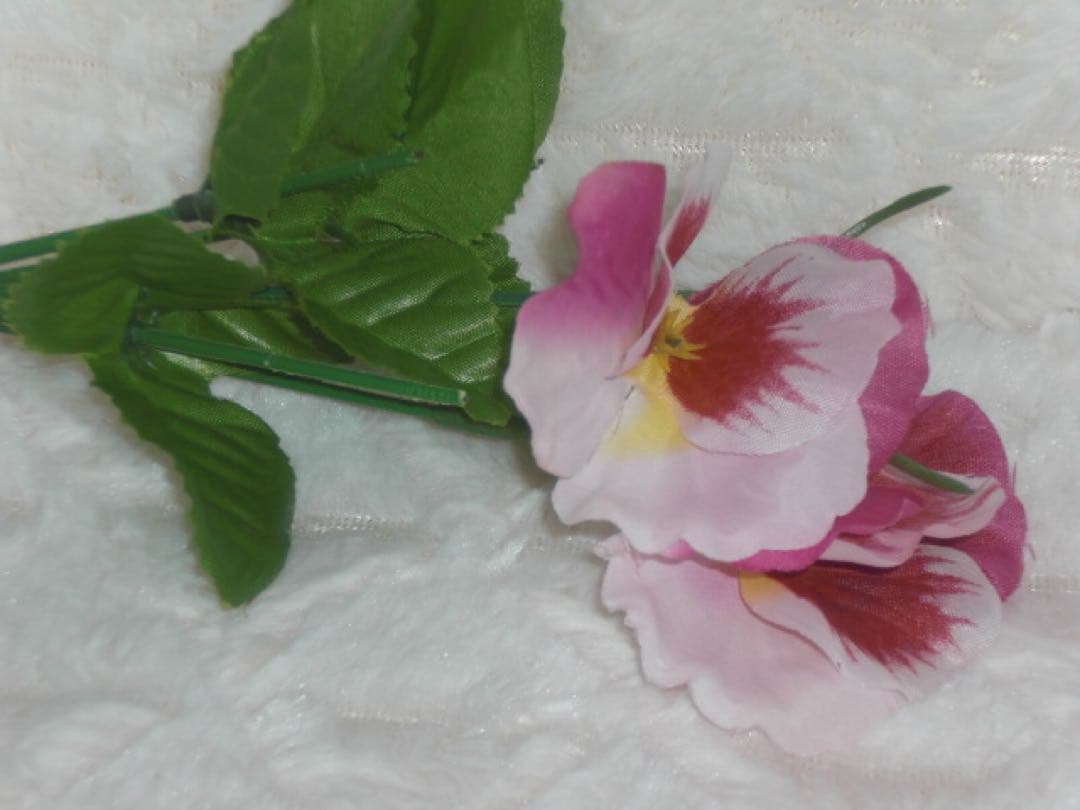 動作良好 CASIO EXILIM EX-Z80 シルバー