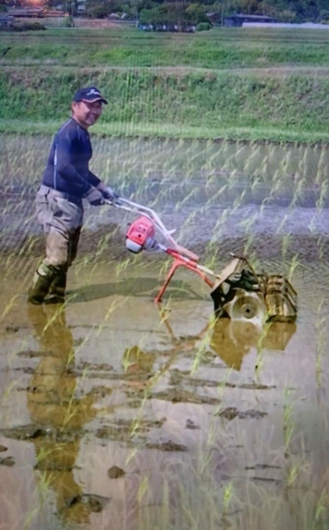 1 令和7年 自然栽培米 亀の尾20kg玄米