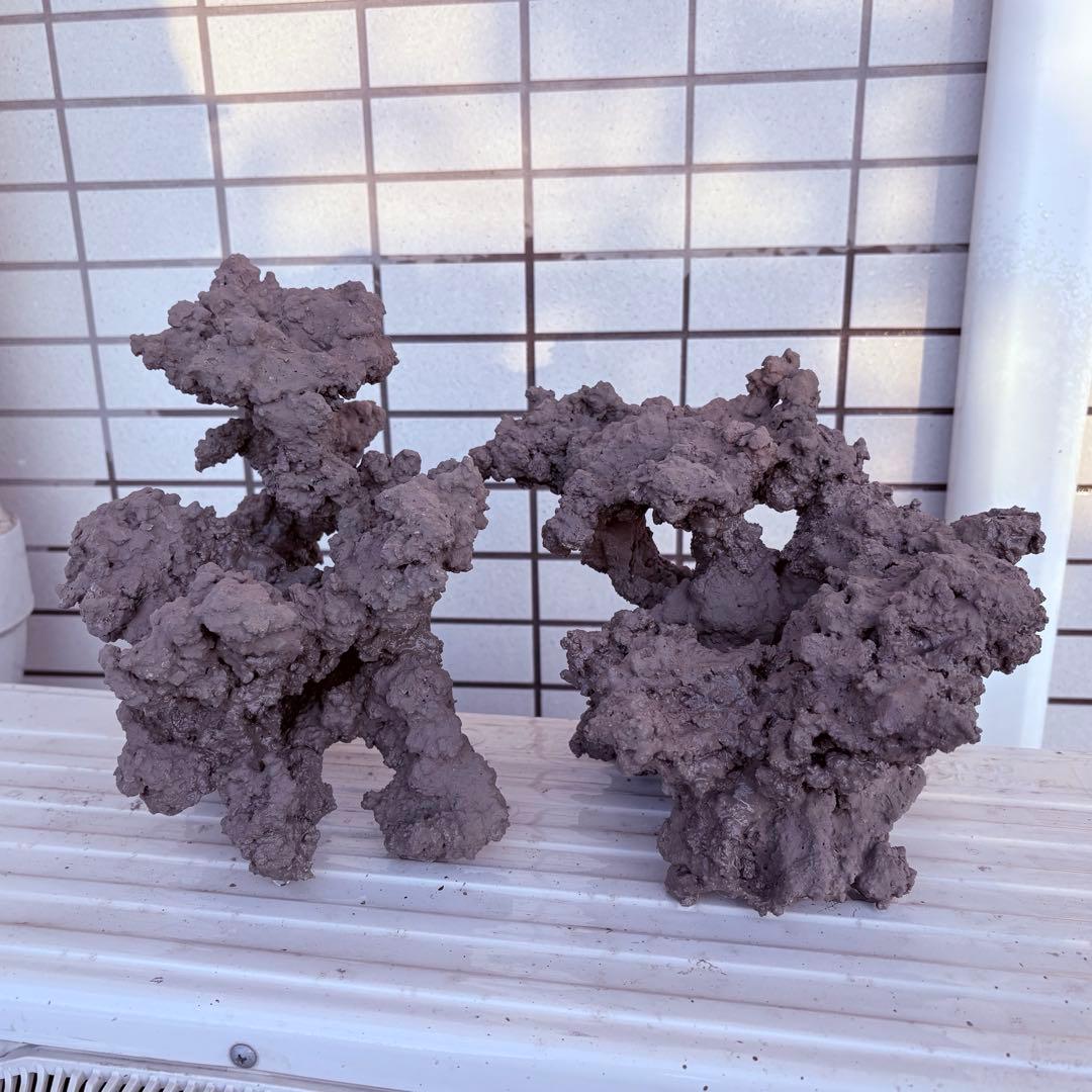 人工ライブロック　2 sets ver