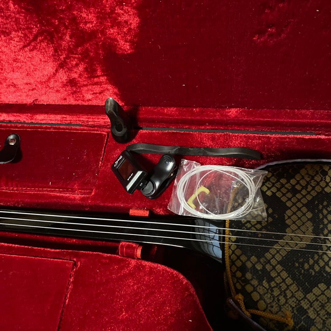 蛇皮三線本体 ケース付き