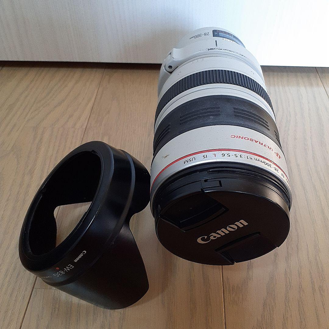 Canon EOS 5D Mark III + EF 28-300mmレンズ