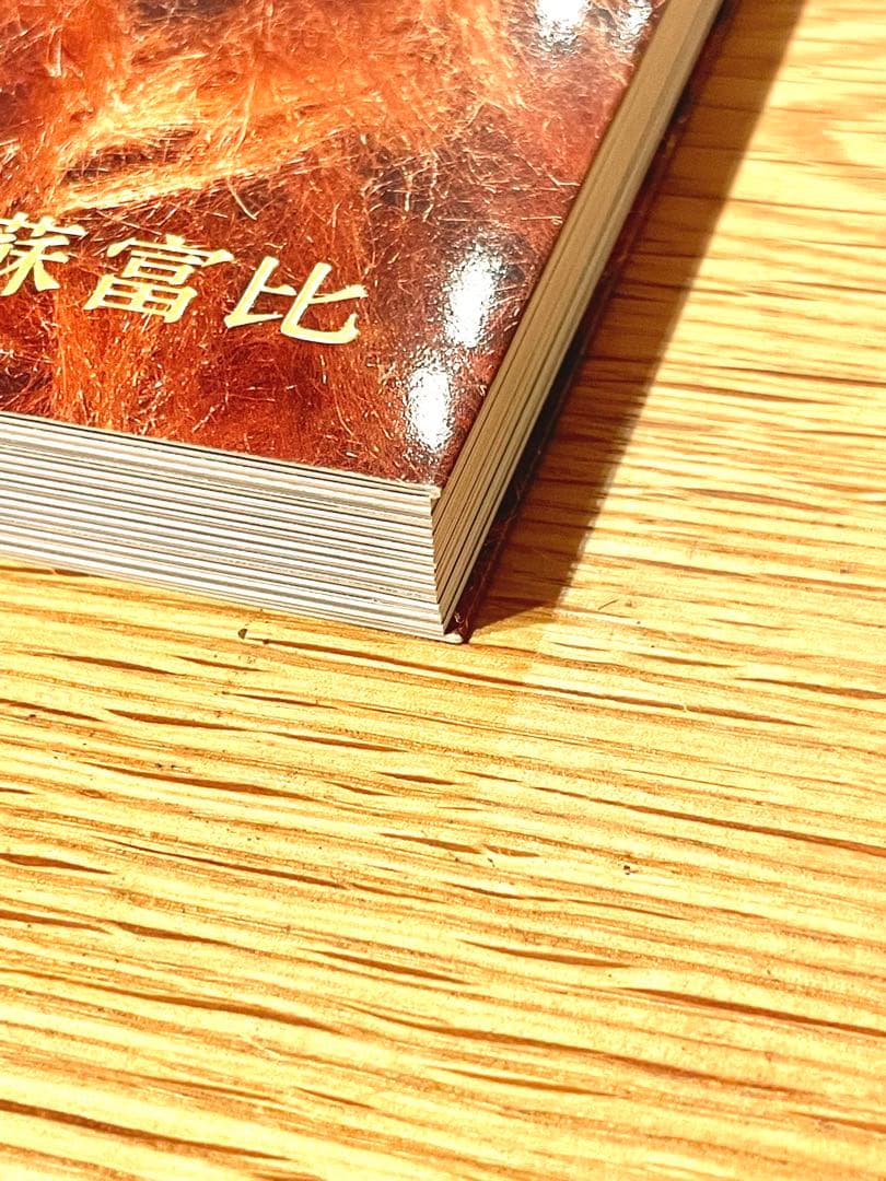 【希少】Sotheby's NIGO ONLY LIVES TWICE 図録