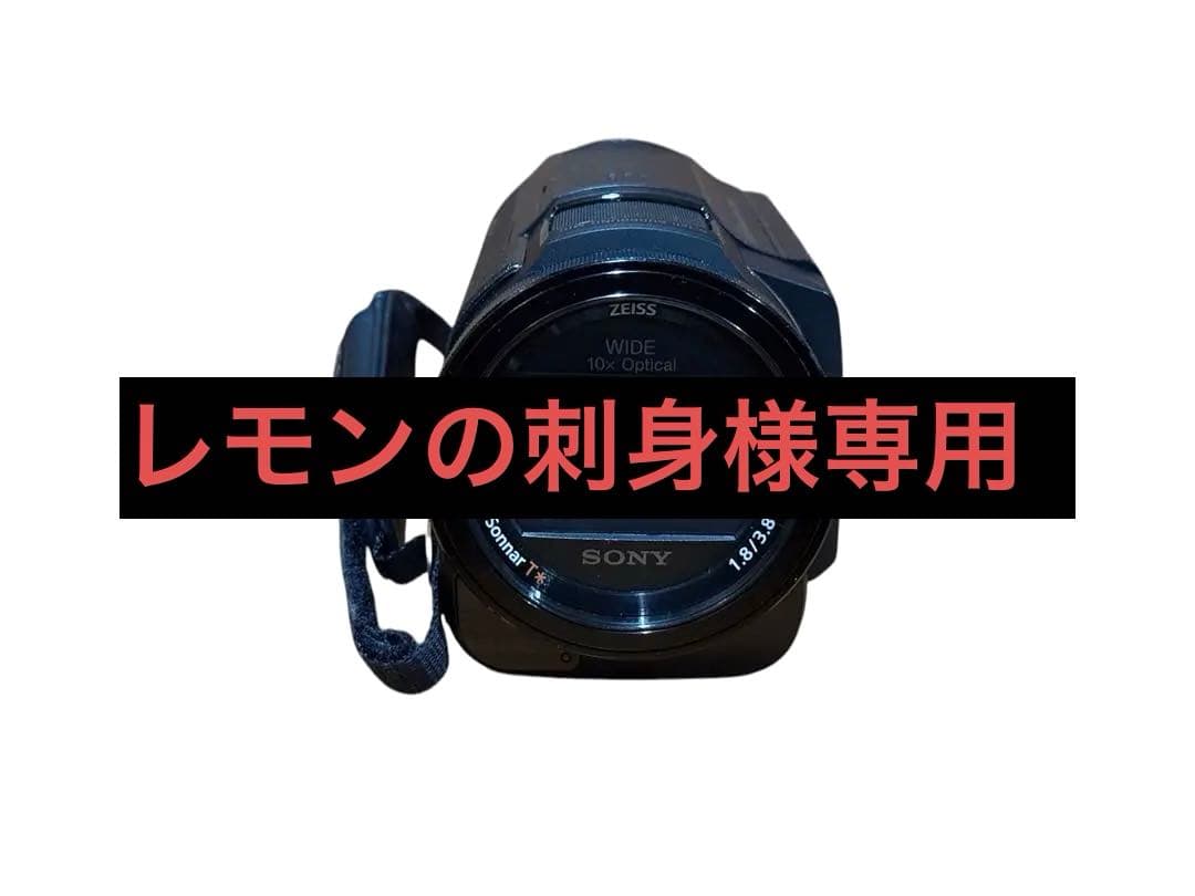 ビデオカメラ SONY FDR-AX30