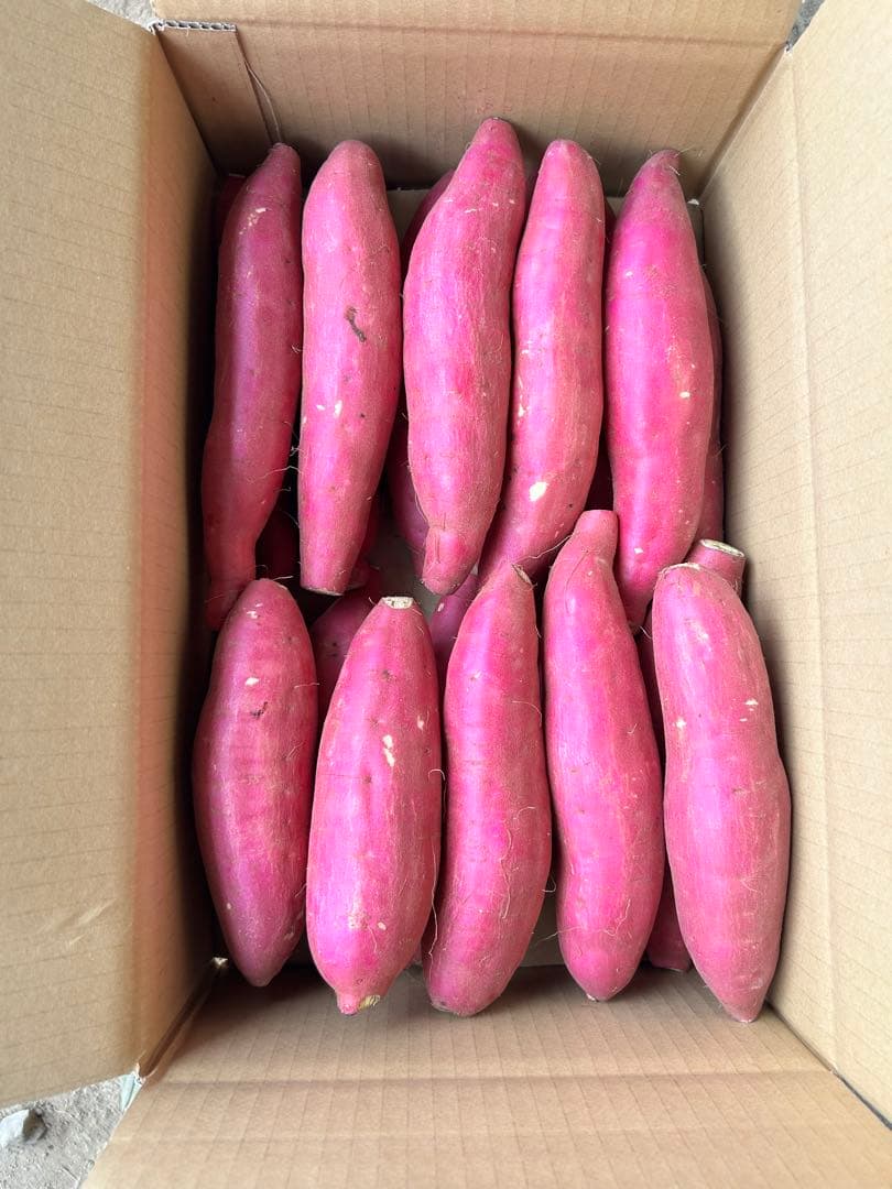 ゆりあんあまはづき　さつまいも　A品Mサイズ　20kg 残りわずか