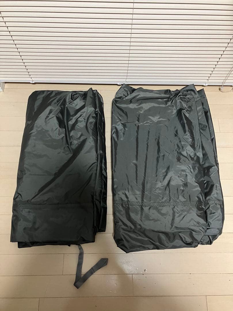 【訳あり】サバティカル ギリア sabbatical gilia 値段交渉可