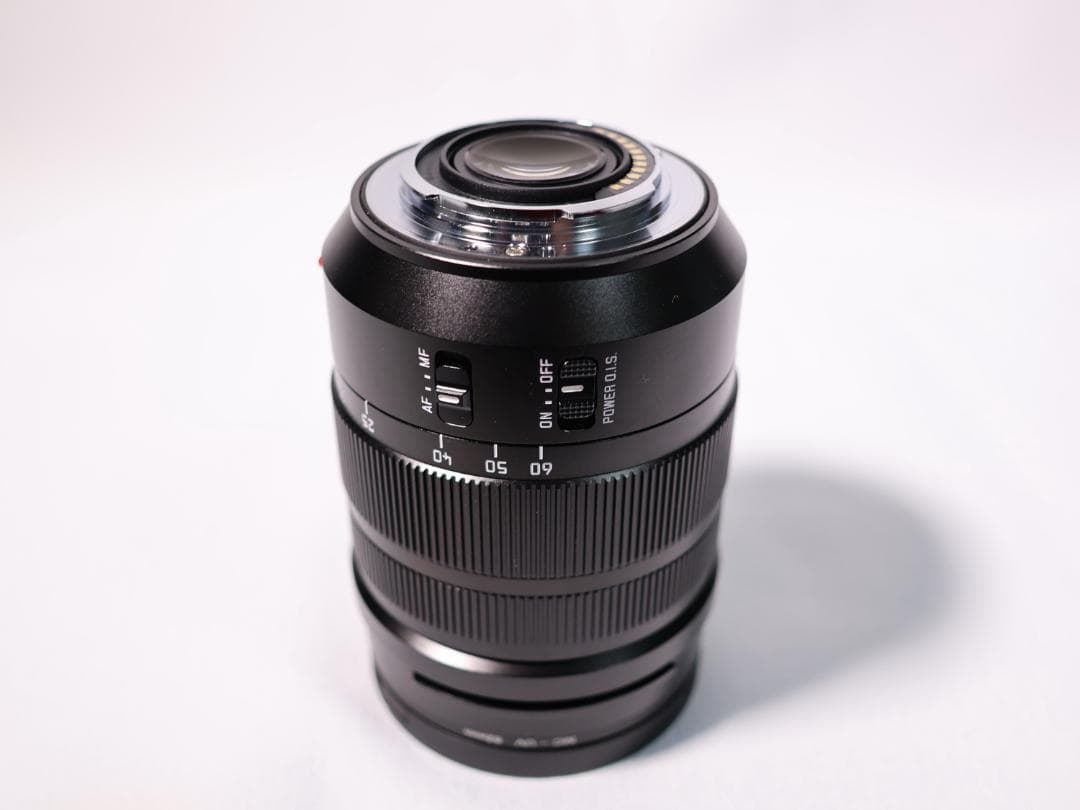 パナソニック LUMIX VARIO ELMARIT 12-60mm