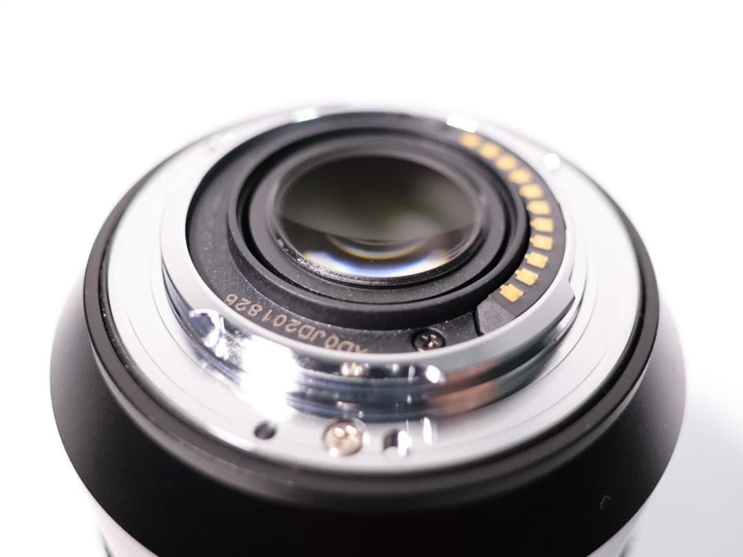 パナソニック LUMIX VARIO ELMARIT 12-60mm