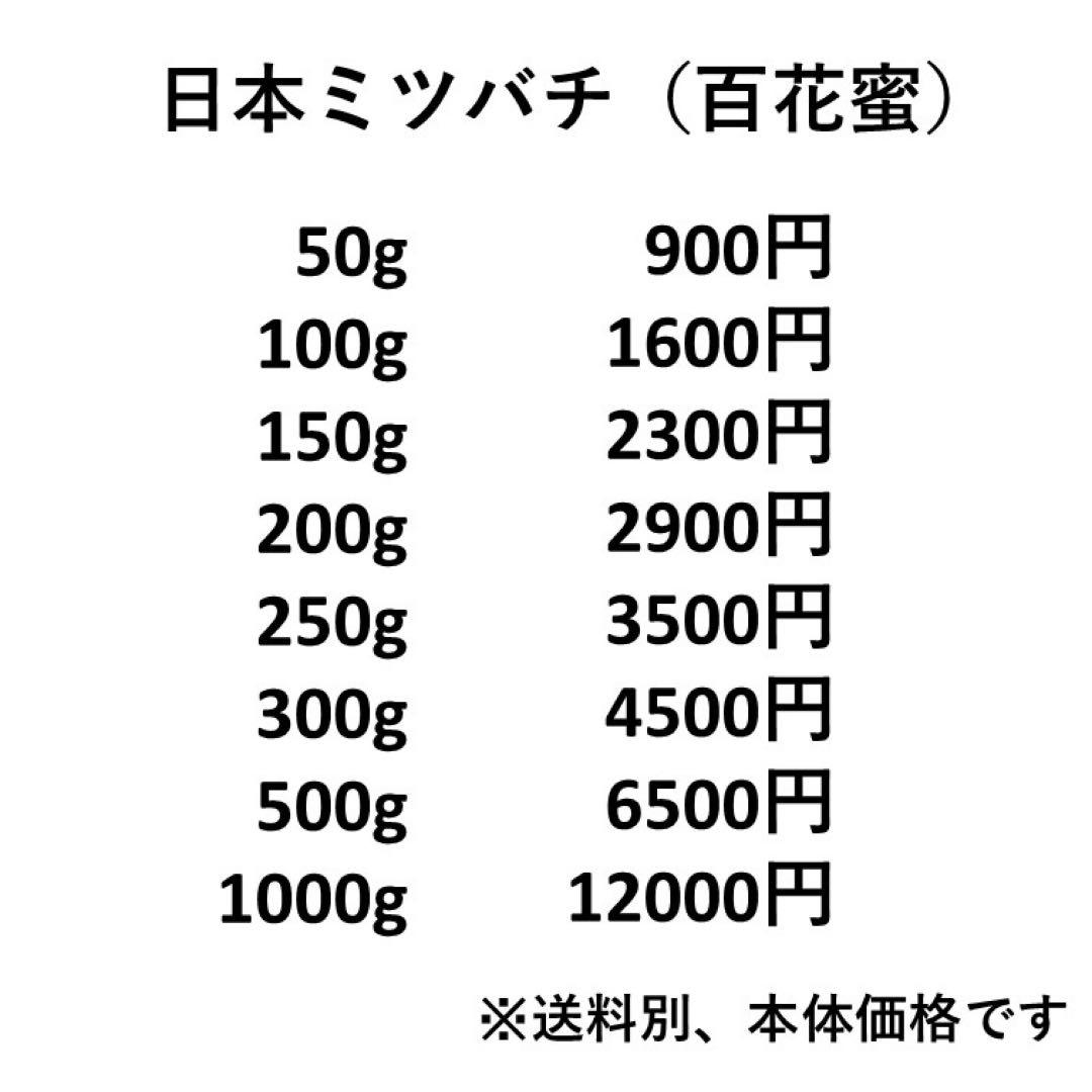 セール！【非加熱・生はちみつ】百花蜜・1000g×3本セット