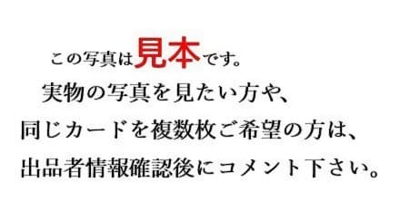 遊戯王　リミテッド・エディション １４　整理番号、LE14-300
