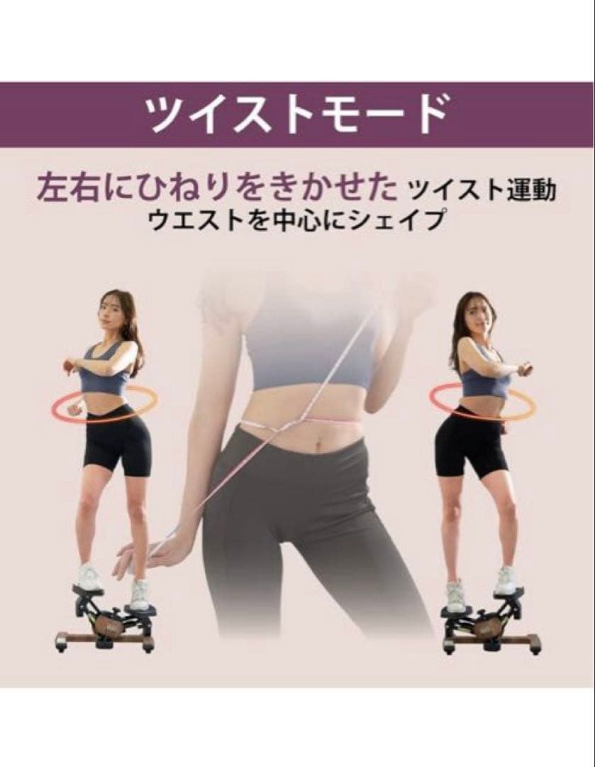 未使用❣️送料無料廃盤デザインツイストエアロステッパープレミアムスポーツオアシス