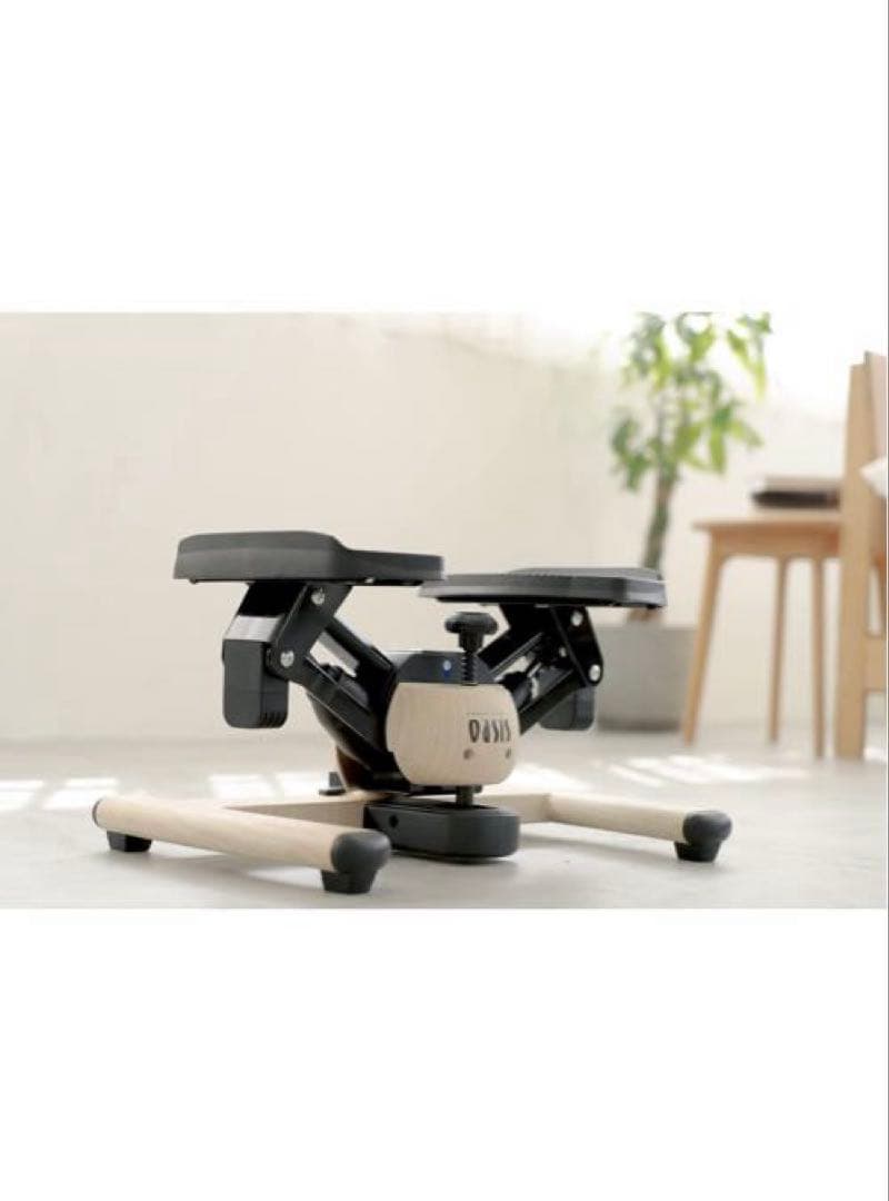 未使用❣️送料無料廃盤デザインツイストエアロステッパープレミアムスポーツオアシス