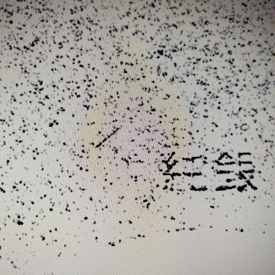 イチゴです　　　 栞２本と小判のセット