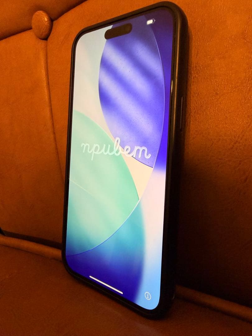 シャッター消音可 iPhone 15 Pro Max 256GB 海外 おまけ有