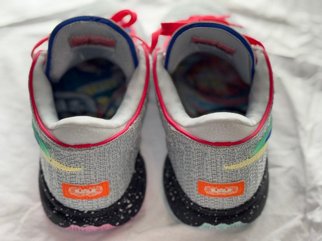 NIKE LeBron 20 ナイキ レブロン 20（DJ5422-002）