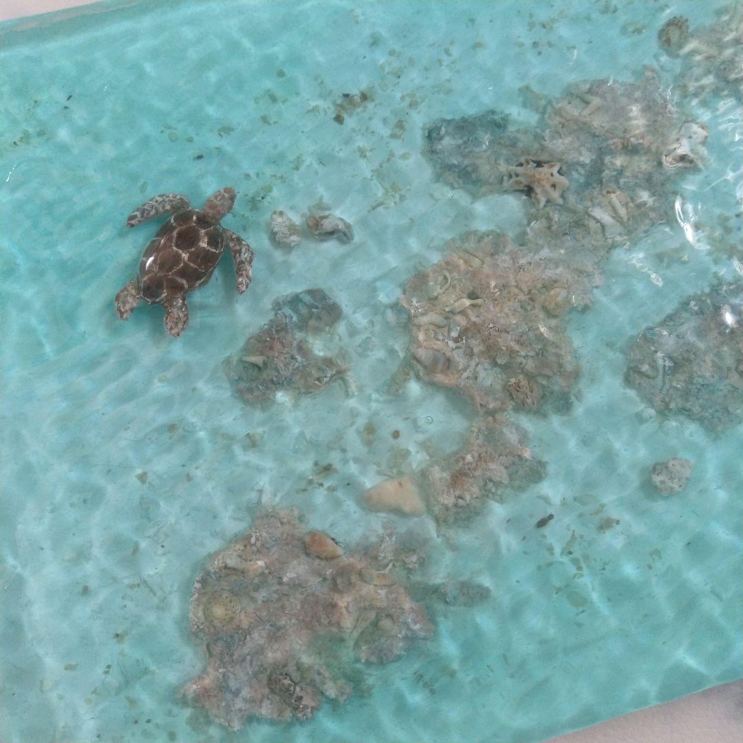 『沖縄の海を感じる』ウミガメが泳ぐ離島の海・オーシャンレジンアート／立体アート