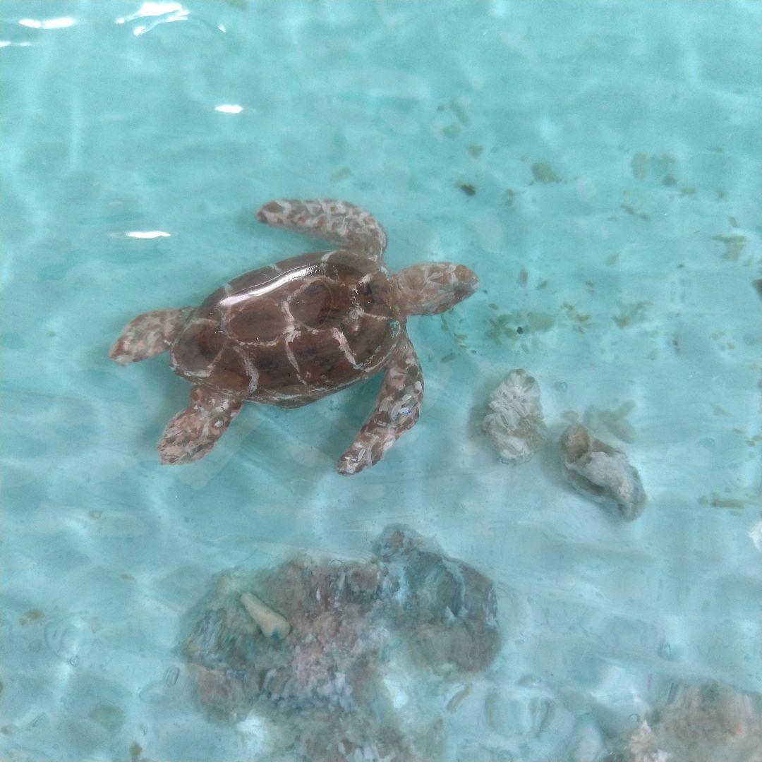 『沖縄の海を感じる』ウミガメが泳ぐ離島の海・オーシャンレジンアート／立体アート