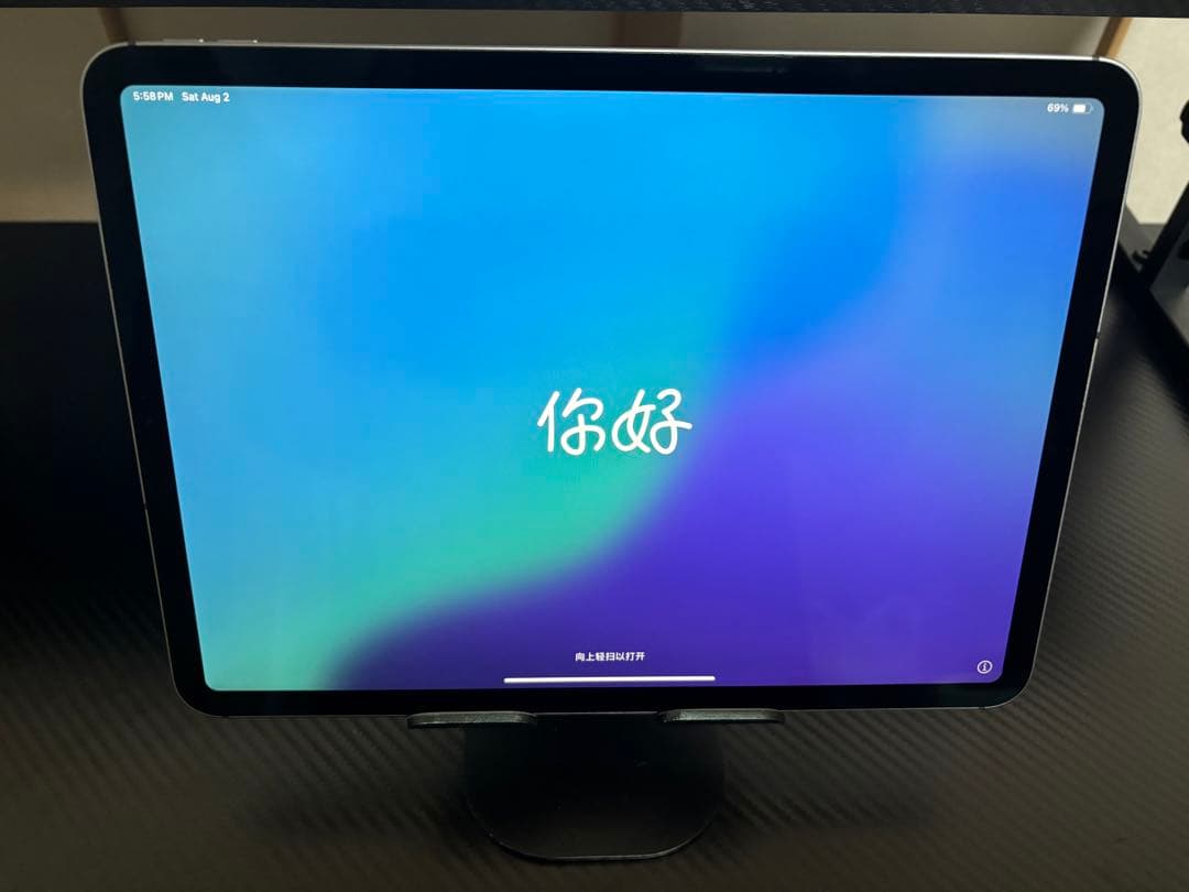 iPad Pro 11インチ 第2世代 128GB 本体のみ