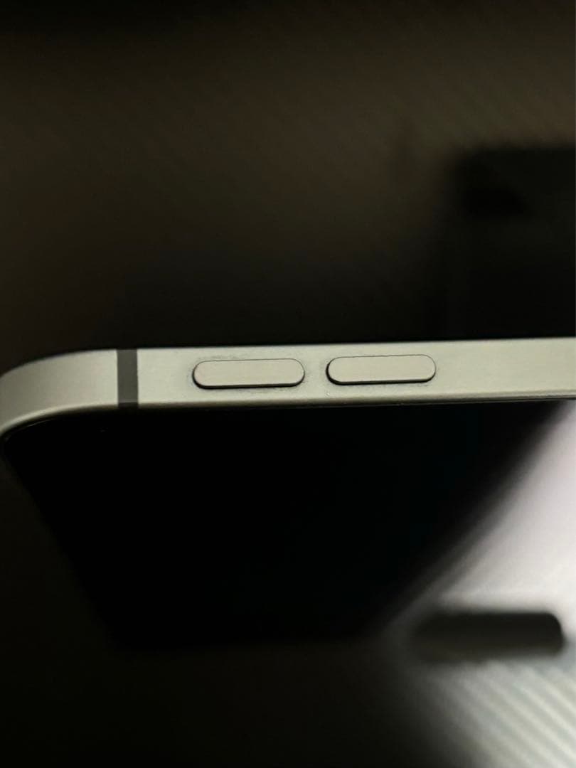 iPad Pro 11インチ 第2世代 128GB 本体のみ