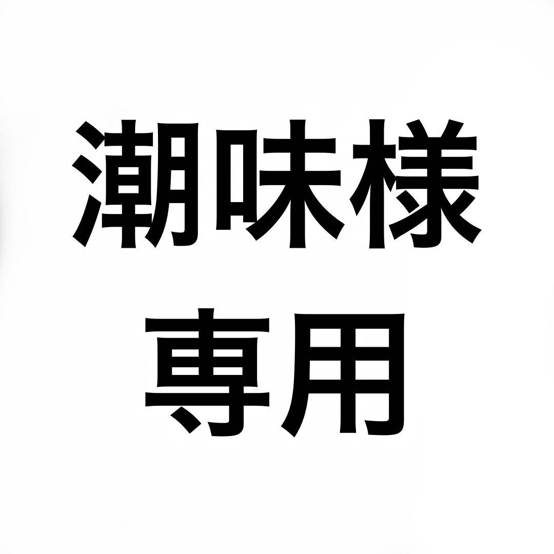 潮味　ハイラックステールガード