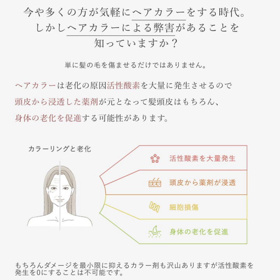 2026年始セール！ストリエクスチェンジプラス H2 シャンプー詰め替え！