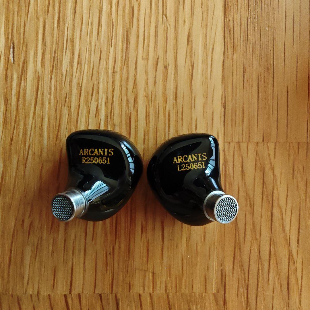 イヤホン Ziigaat Arcanis