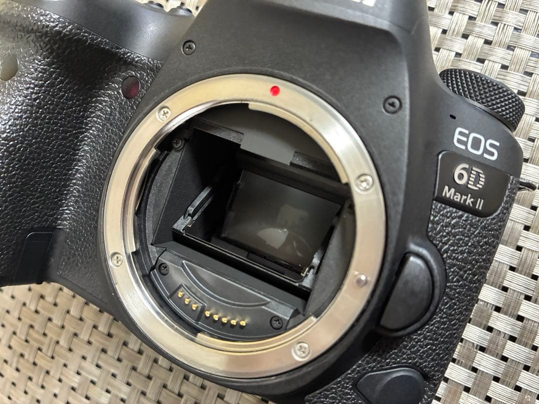 【美品】【即購入可】Canon EOS 6D mark II レンズ、箱付き