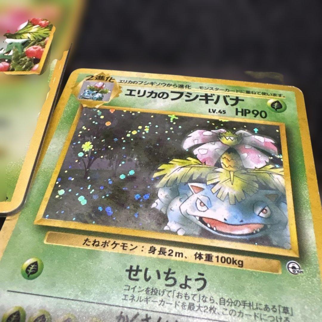 旧裏エリカのフシギダネ・フシギソウ・フシギバナセット