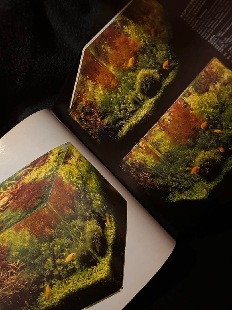 専用　アクアデザインアマノ Nature Aquarium World 作品集