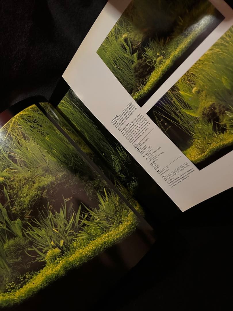 専用　アクアデザインアマノ Nature Aquarium World 作品集