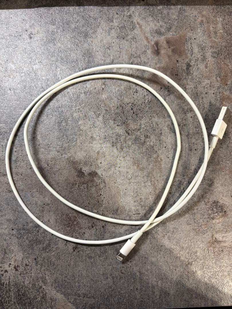 Apple iPhone SE 第二世代 ホワイト 充電ケーブル・イヤフォン付き