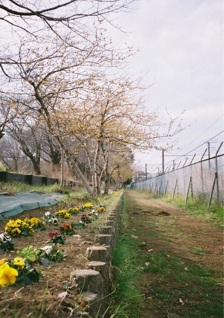 【動作確認・清掃済み＊試写あり】リコーオートハーフE