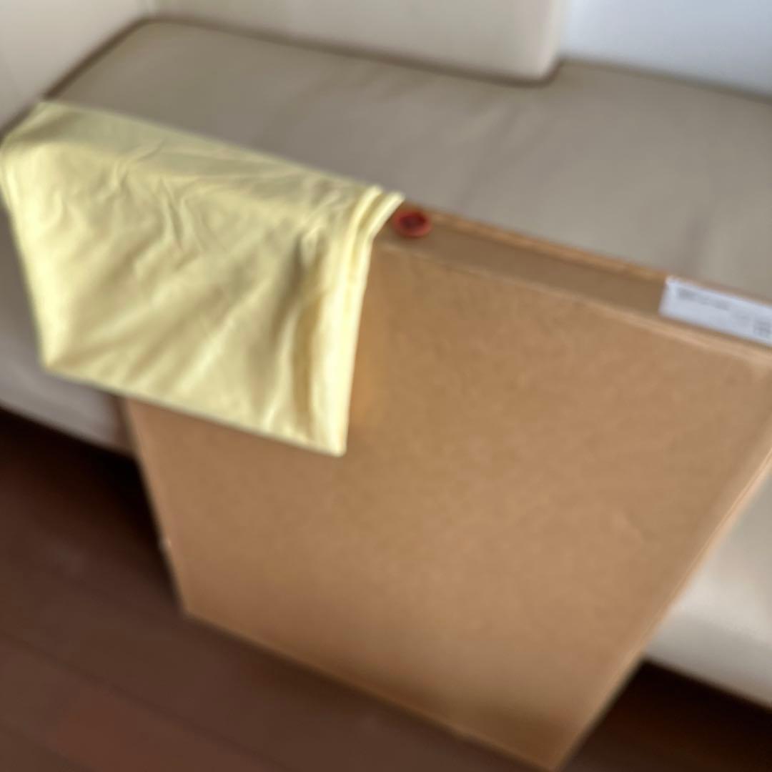 Fujiko Hemming フジコヘミング版画