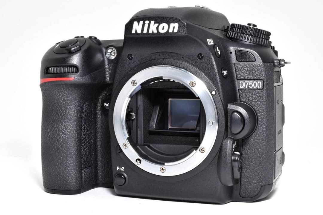 【いちご大福】Nikon D7500 ボディ 1894