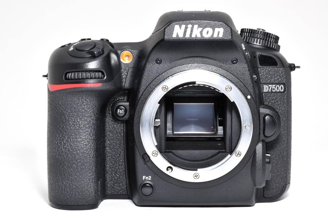 【いちご大福】Nikon D7500 ボディ 1894