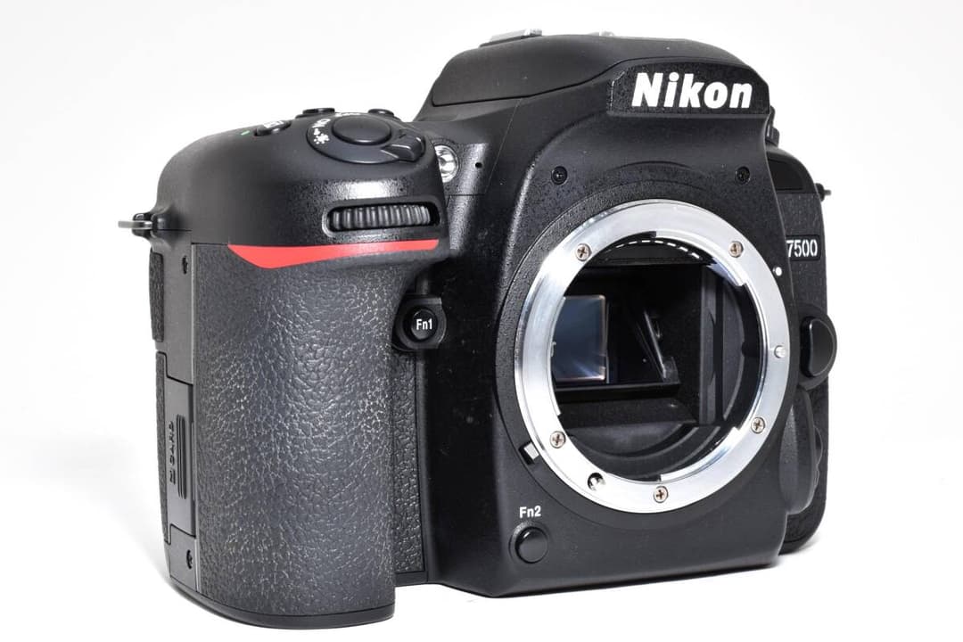 【いちご大福】Nikon D7500 ボディ 1894