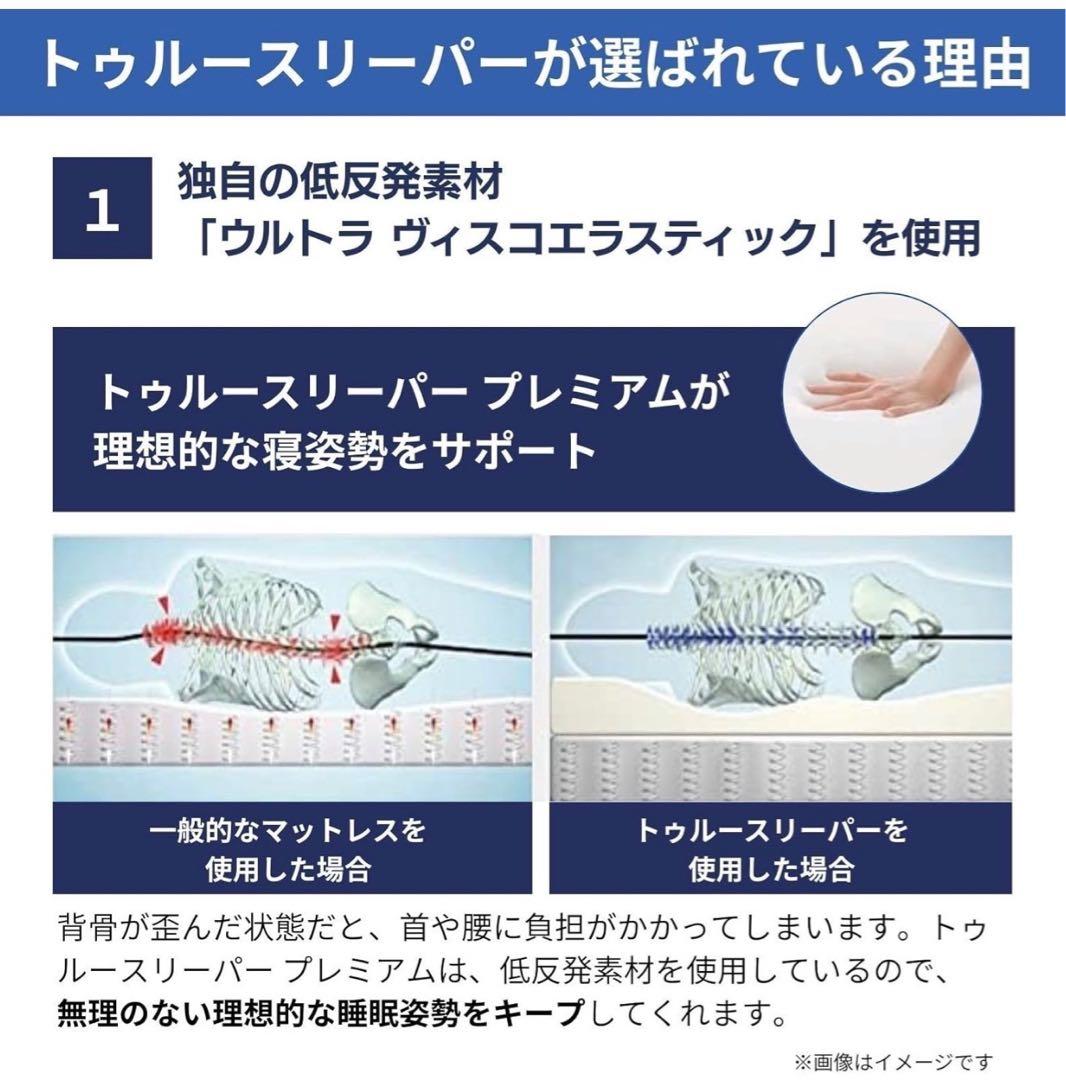 TRUE SLEEPER クインサイズ