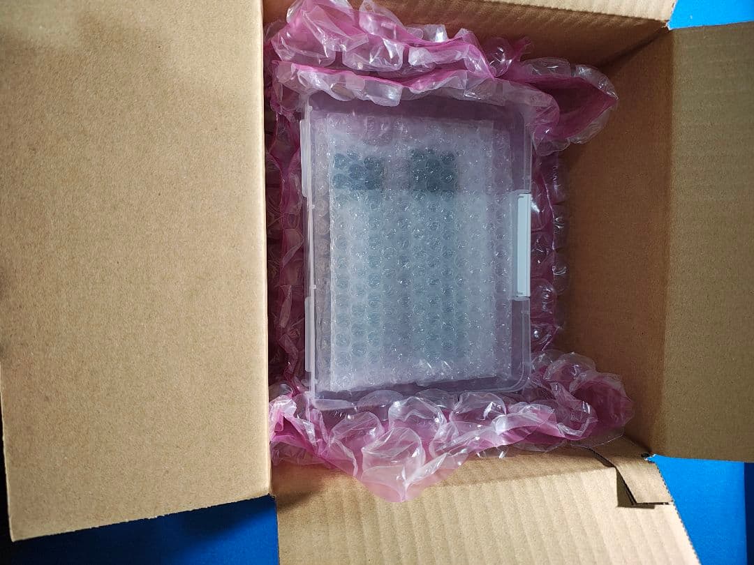 DDR5-6000　Crucial Pro 32GB （16GB 2枚組)