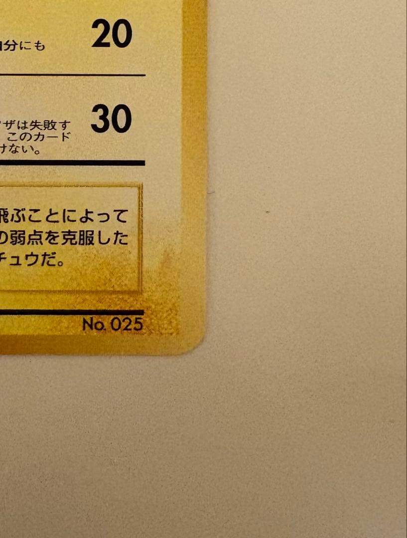 そらをとぶピカチュウ_ANA 「みんなにうれしいキャンペーン」 プレゼントカー…