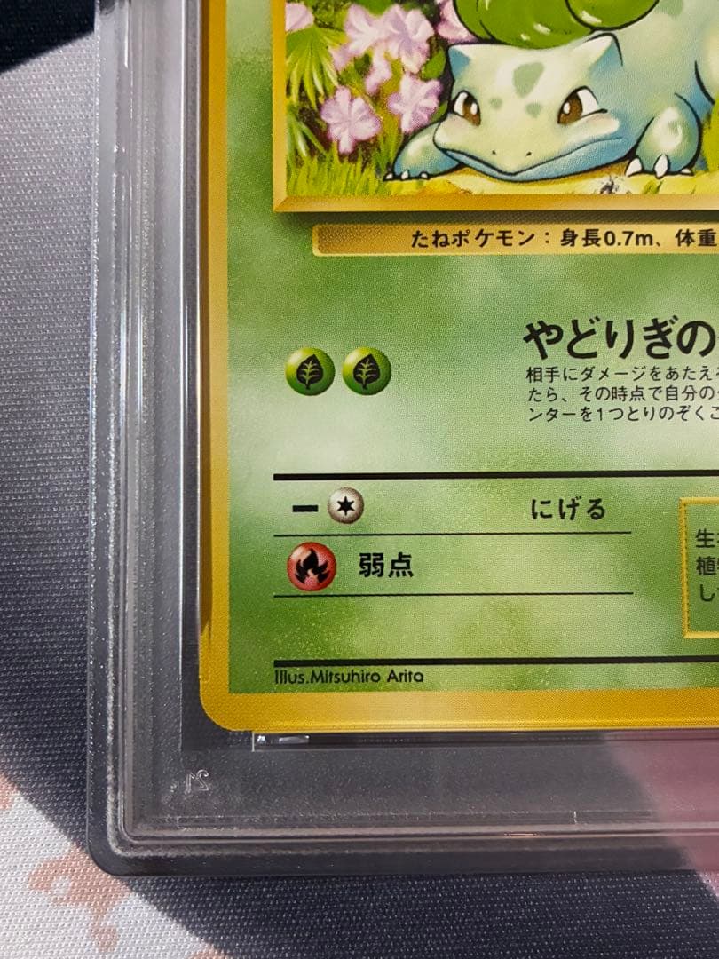 PSA9☆ 旧裏 フシギダネ マーク有り