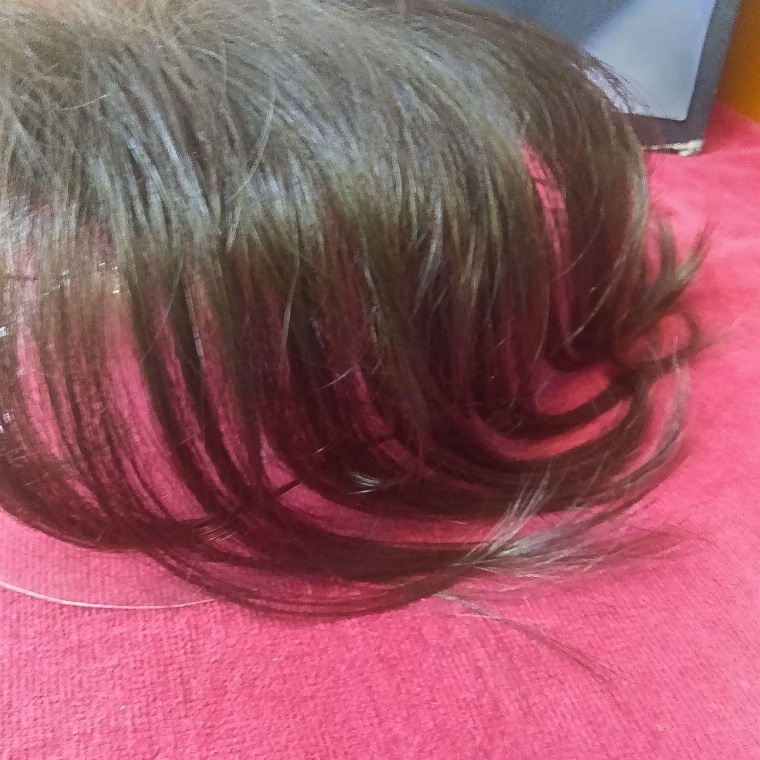 新品　未使用　　レオンカ　SF T309 YN ロング　３点止　パーマヘア