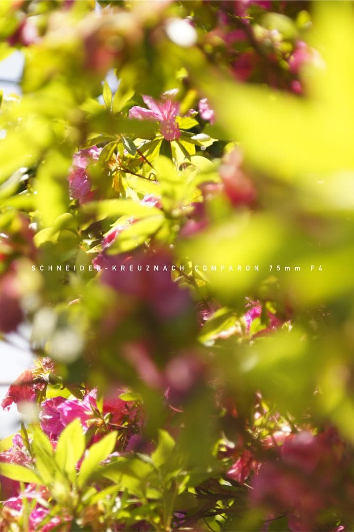 Schneider Kreuznach 75mm F4 Lマウント シュナイダー